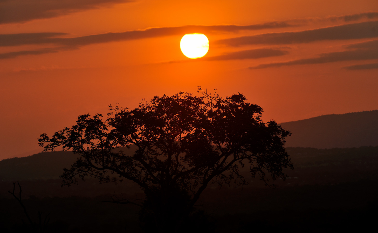 [280 mm, 1/1600 Sek. bei f / 6.3, ISO 500]